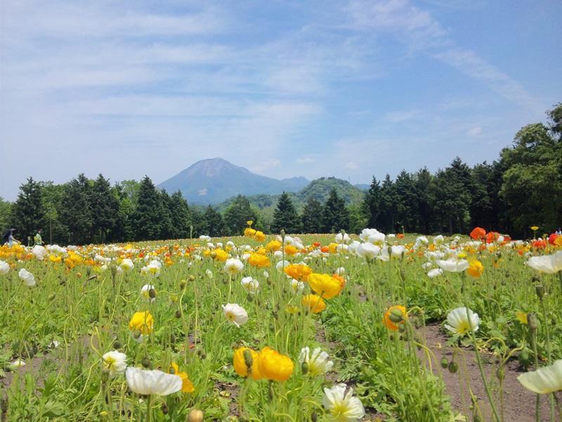 Kutsurogi No Yado Terunoyu Hotel Okayama Luaran gambar